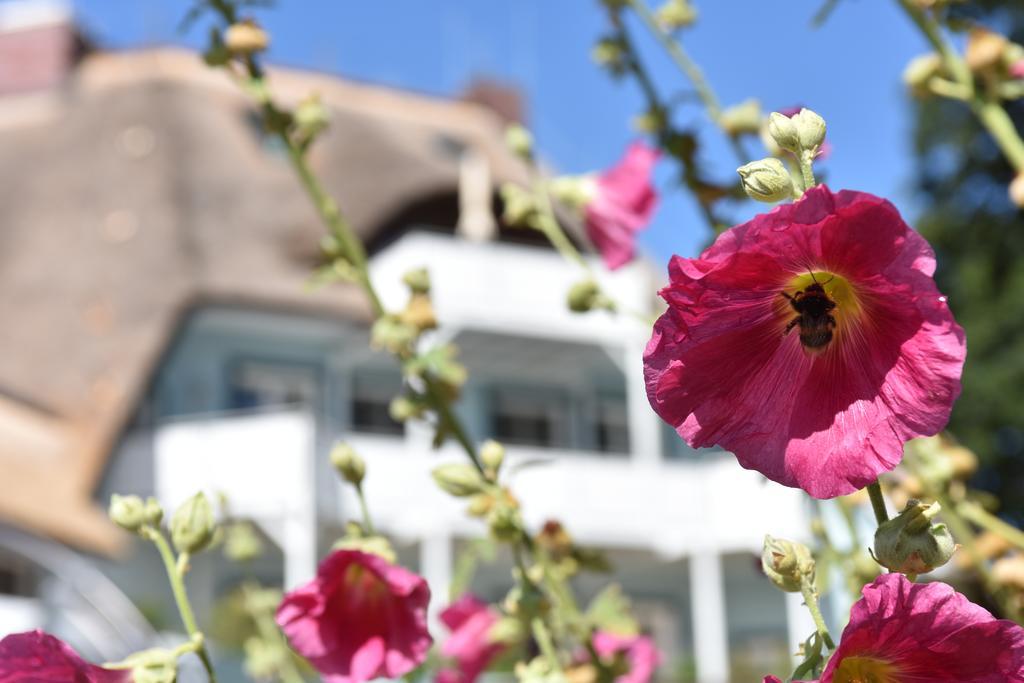 Romantik Hotel Fischerwiege Ahrenshoop Exterior foto